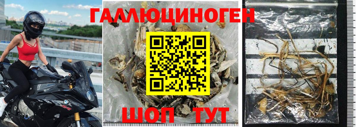 Псилоцибиновые грибы ЛСД Шахты