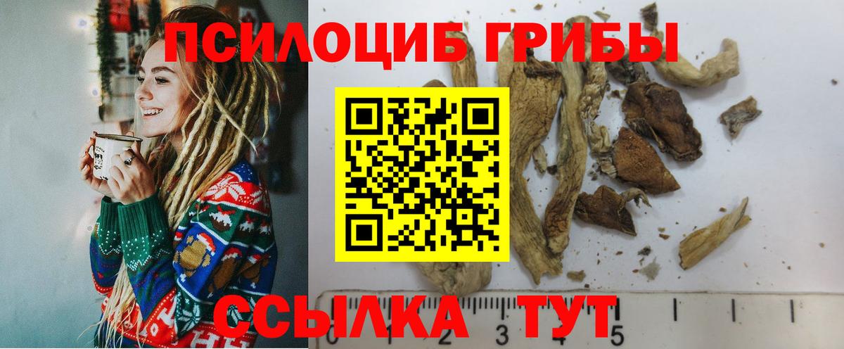 где найти наркотики  Галлюциногенные грибы Magic Shrooms  Вход с VPN  Шахты 